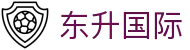 东升国际-多元游戏与线上娱乐服务平台